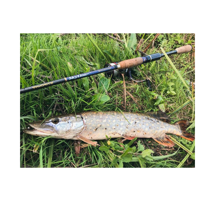 Спінінг Favorite Skyline TZ NEW SKYTZ-862M 2.58m 8-24g Ex.Fast - 1 Спінінг Favorite Skyline TZ NEW SKYTZ-862M 2.58m 8-24g Ex.Fast - 1