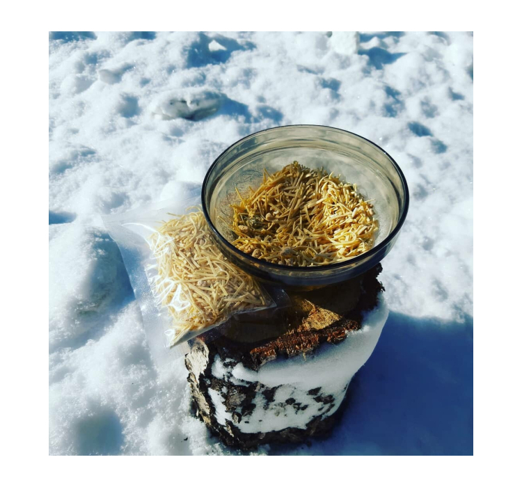 Паста Альфредо Happy Elk - 1 Паста Альфредо Happy Elk - 1