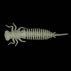 Силиконовая приманка GLADIATOR "BUBA - 2" цвет 20 (pcs,10) (10 шт.)